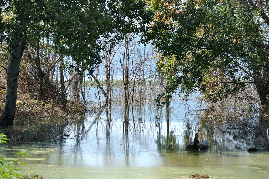 lake Doirani wetland