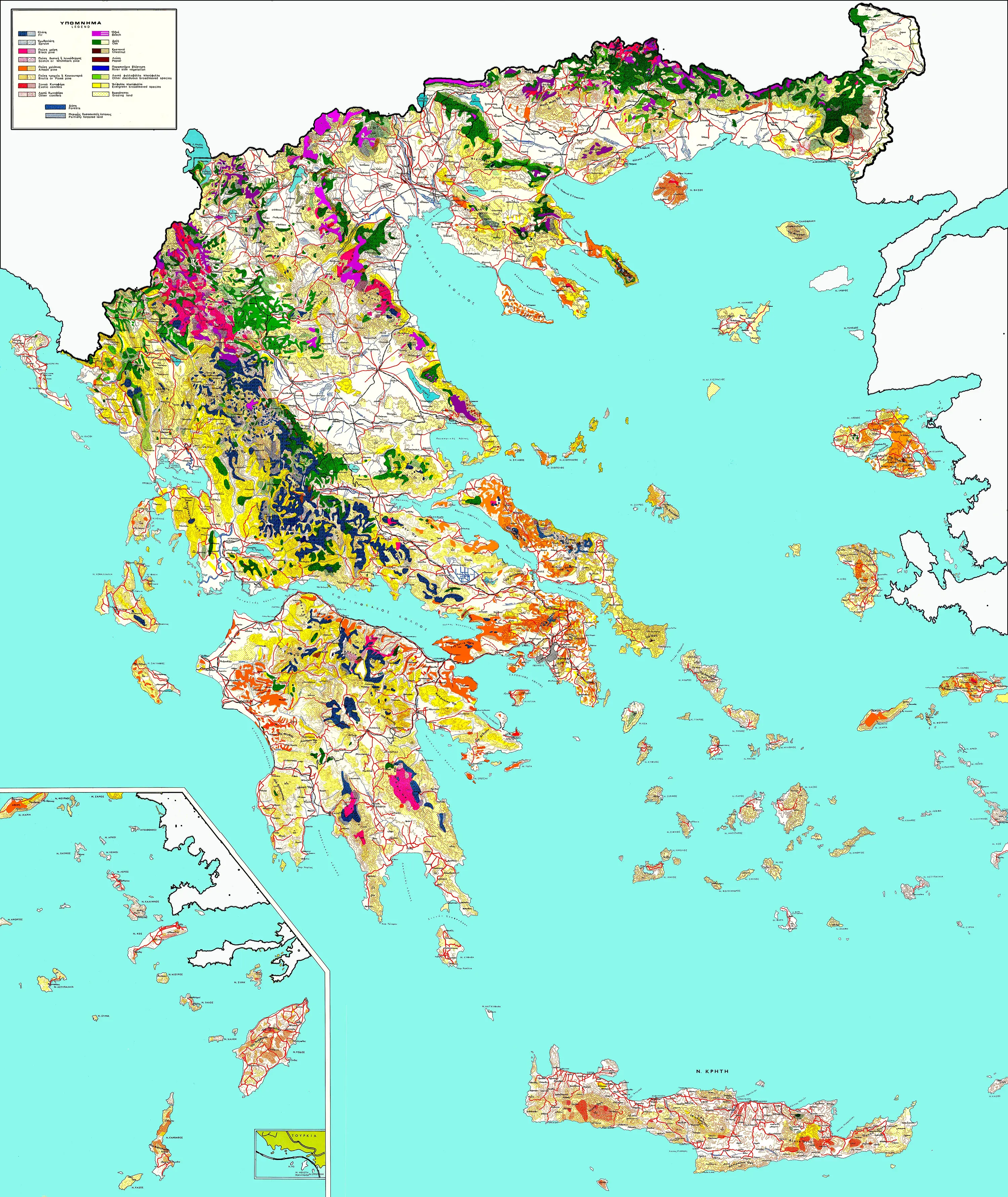 Forest Map